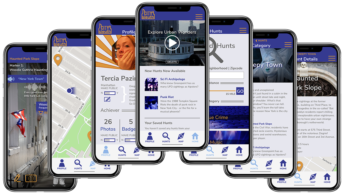 City Sleuth User Interface